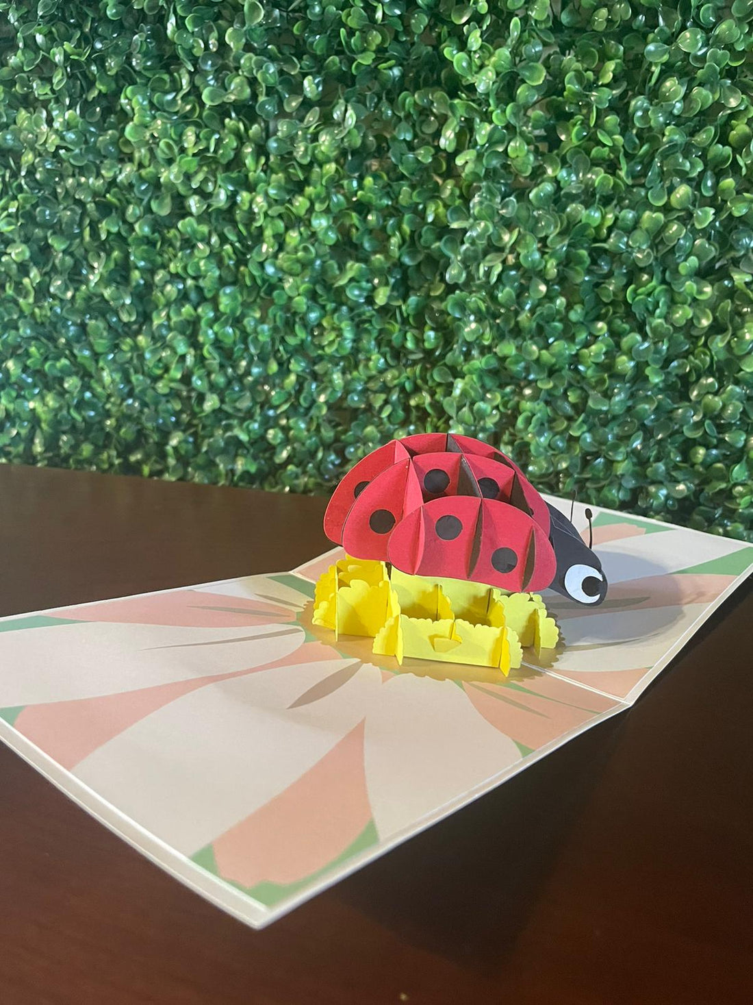 Ladybird Popup Card