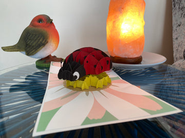 Ladybird Popup Card